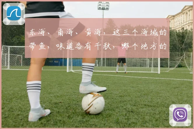 东海、南海、黄海，这三个海域的带鱼，味道各有千秋，哪个地方的带鱼最好吃