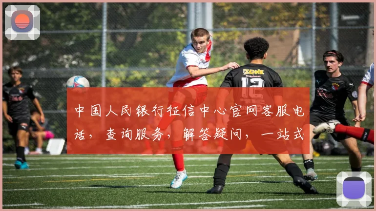 中国人民银行征信中心官网客服电话，查询服务，解答疑问，一站式联系，快速响应，三步直达
