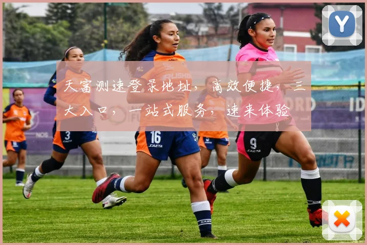 天富测速登录地址，高效便捷，三大入口，一站式服务，速来体验